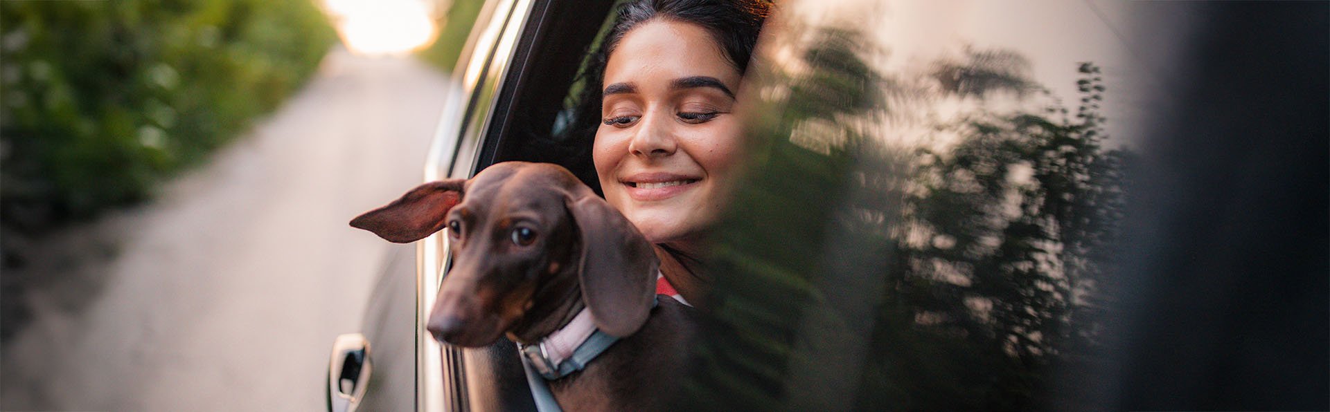 Best Cars for Dogs: No-Compromise Vehicles for Pets and Owners