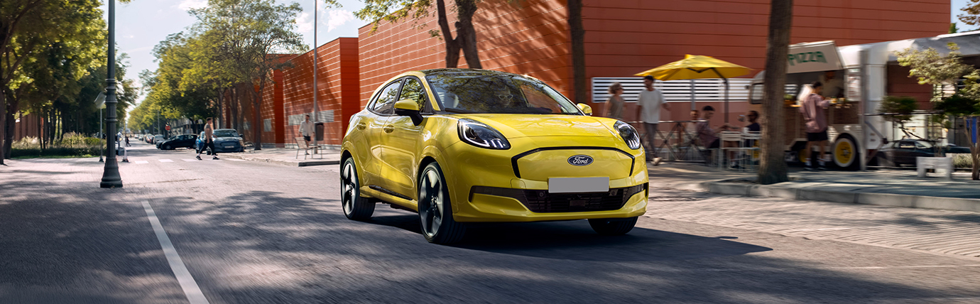 Retired teacher saves a savvy £12,000  on a new Ford Puma Gen-E<br><span class="subtitle" style="text-align:center; color:#666; font-size:0.66em; font-weight:normal; margin-top:0.25em;">Renee shares why she became a return Motorfinity customer